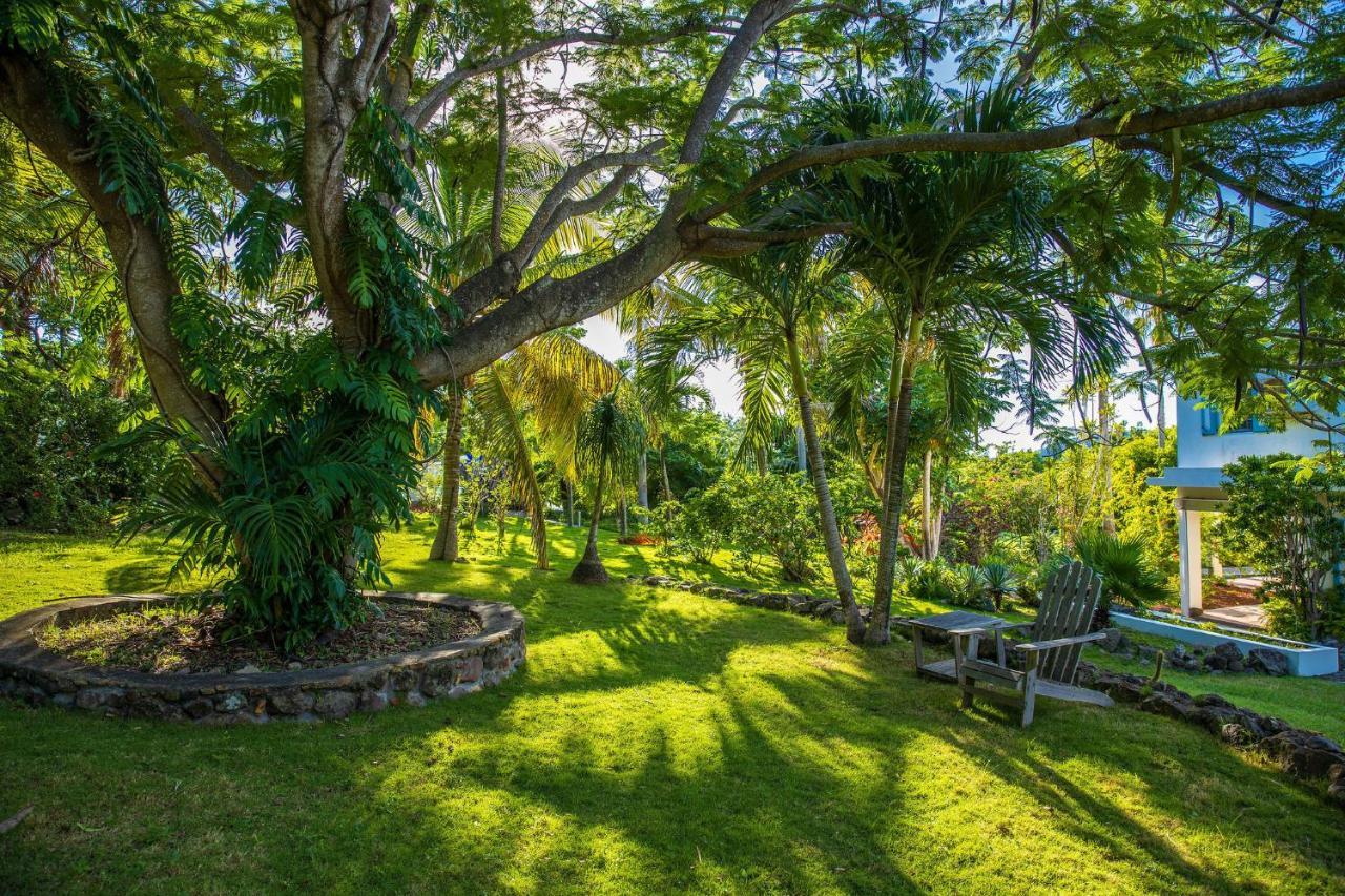 Quill Gardens Boutique Hotel Oranjestad  Zewnętrze zdjęcie